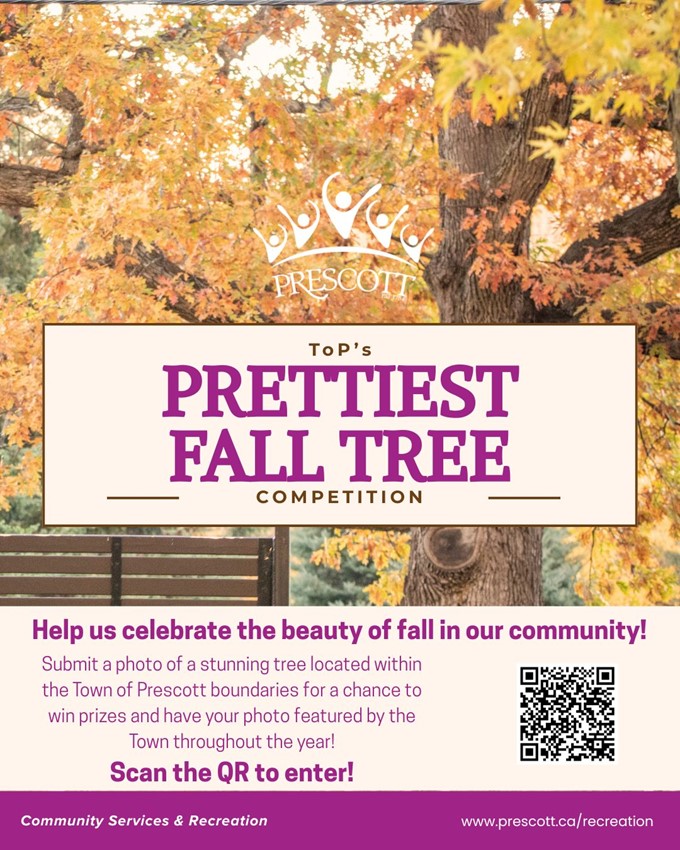 Prettiest Fall Tree Competition